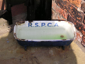 RSPCA drinking trough