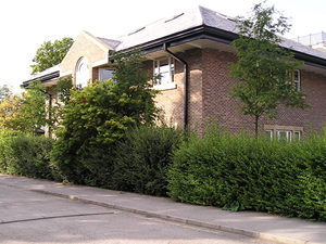 Newer buildings, Mill Mount Lane