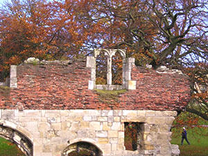 Hospitium and beech tree in autumn colour