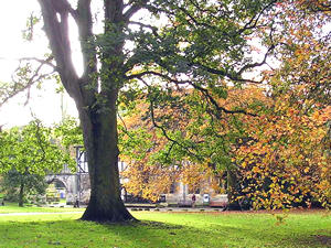 Museum Gardens, looking towards the Hospitium