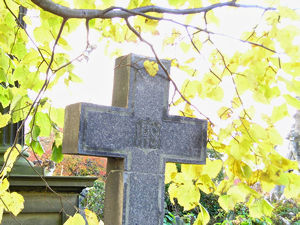Yellow leaves and headstone