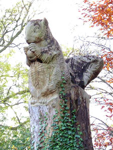 Carved wooden squirrel