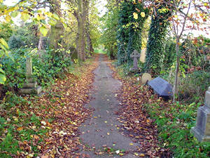 View of pathway, York Cemetery, with fallen leaves