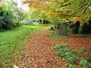 Headstones and beech leaves
