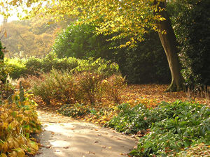 Sunlit corner, Homestead Park