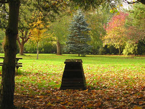 Trees of many colours