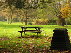 Picnic bench and autumn trees
