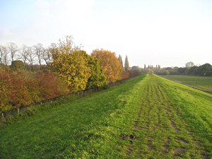 From the flood bank, looking towards the city centre