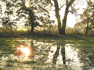Sunset in flood water, Rawcliffe Meadows