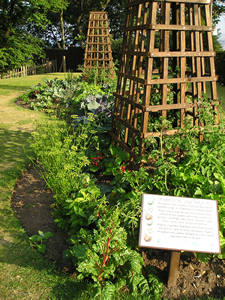 Bed containing ornamental vegetables