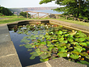 Ornamental pond, Filey