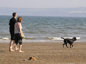 Filey beach – couple walking their dog