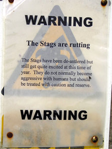 Warning sign – the stags are rutting