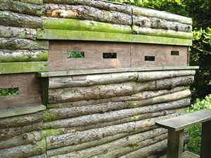 Bird viewing station