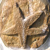 Detail from the Lighthouse Sculpture