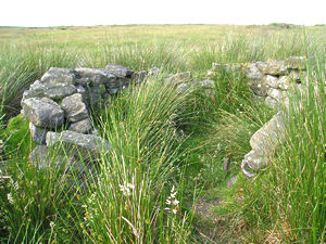 Stone circle