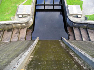 Thruscross Dam