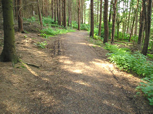 Path around Thruscross Reservoir