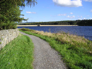 View across Fewston Reservoir, May 2004