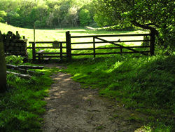 Gated boundary to Hayburn Wyke – route to railway path