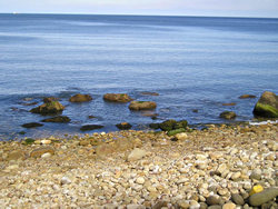 Looking out to sea, at Hayburn Wyke, late afternoon'