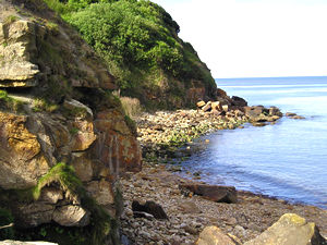 Beautiful Hayburn Wyke