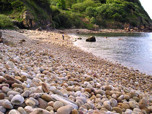 View of pebble beach at Hayburn Wyke