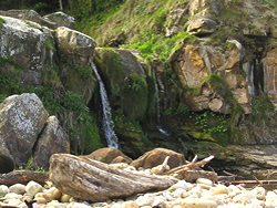 Waterfall at Hayburn Wyke