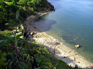 View of Hayburn Wyke from above