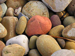 Pebbles at Hayburn Wyke